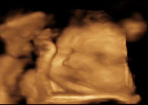 WhatsApp Image 2023-09-17 at 18.34.39.jpeg