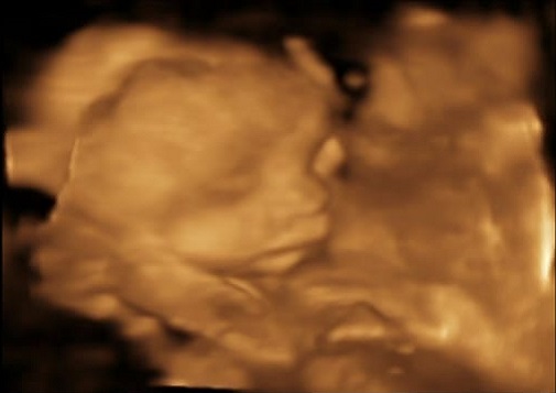 WhatsApp Image 2023-09-17 at 18.35.50.jpeg